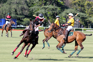 Torneo SPRINGBOK en el Campo Argentino de Polo